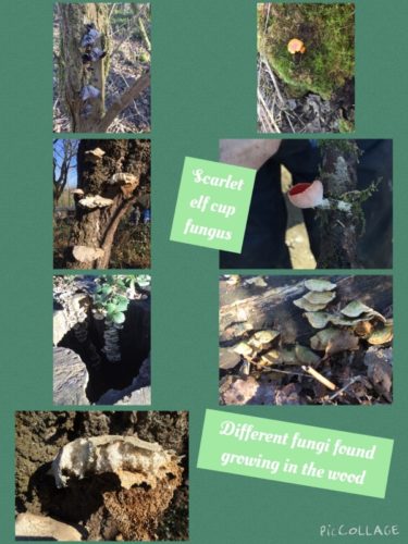 DC669AEE-E377-4456-A6F5-F431B265998D