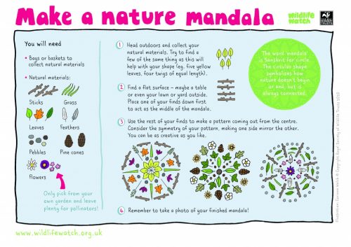 Make a nature mandala