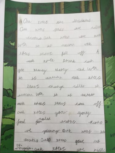 A059981D-AB40-415F-9C77-EFED9189F0D7