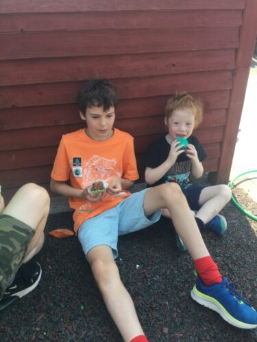 Whole School Trip to the Panto at Theatre Severn