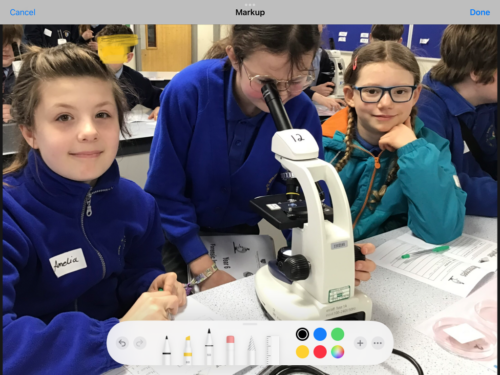 Christmas Dinner & Christmas Jumper Day