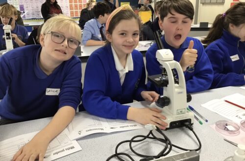 Christmas Dinner & Christmas Jumper Day