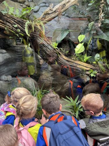 Whole School Trip to the Panto at Theatre Severn