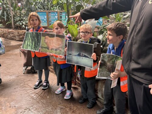 Whole School Trip to the Panto at Theatre Severn