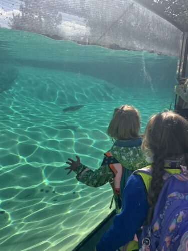 Whole School Trip to the Panto at Theatre Severn