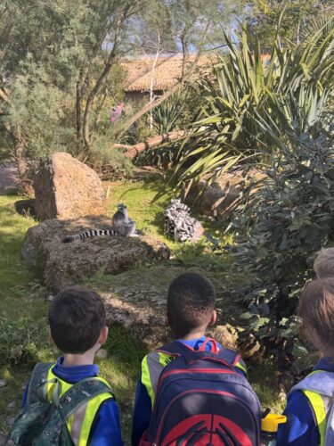 Whole School Trip to the Panto at Theatre Severn