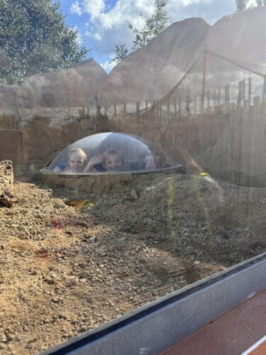 Whole School Trip to the Panto at Theatre Severn