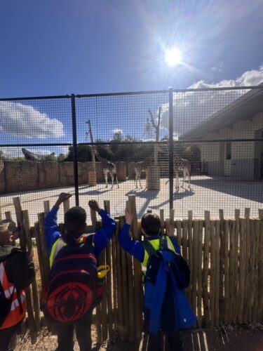 Whole School Trip to the Panto at Theatre Severn